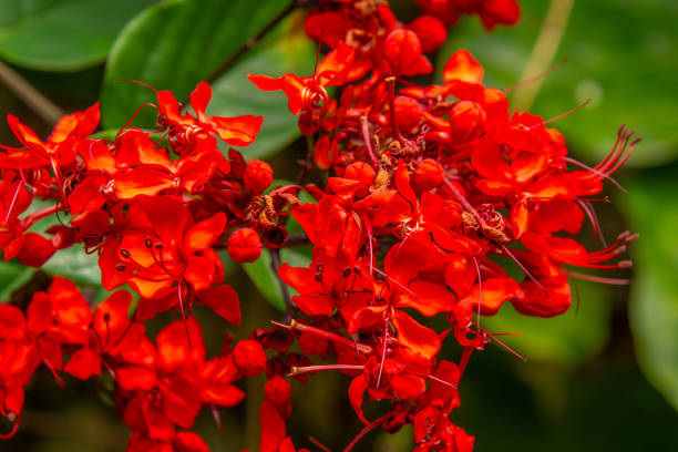 in Florida, United States
