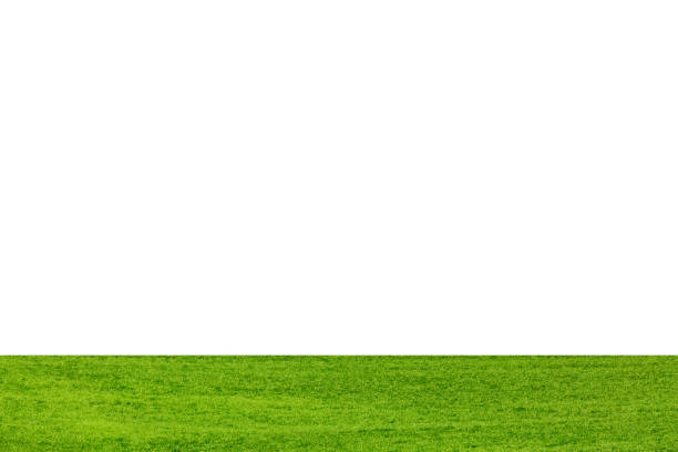 istock Green grass meadow field over isolated white background 2078240215