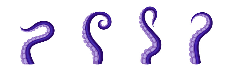 Octopus Tentacles or Limbs Wiggling and Snaking Vector Set. Arms of Underwater Creature with Multiple Suckers Concept