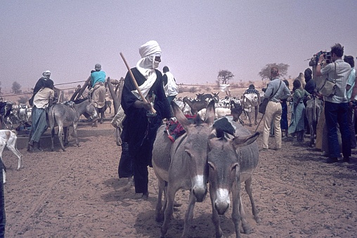 Mauritania, Western Sahara, 1973. Bedouins with their animals at a water well in Western Sahara. Furthermore: a tour group from Central Europe.