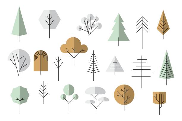 Tree Using Basic Shape Design Guide To Drawing Cartoon Trees With Basic Geometric Shapes