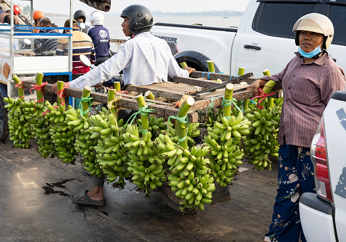 Phnomh Penh, Cambodia on Feb 6, 2024: banana transport on ferry boat crossing the Mekong river