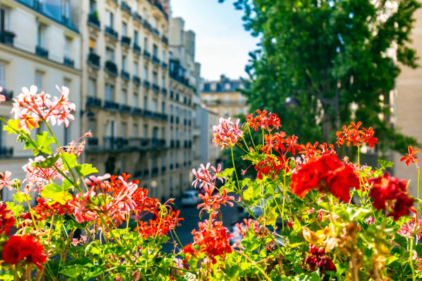 istock View from a Parisian window with flowers 2078265252