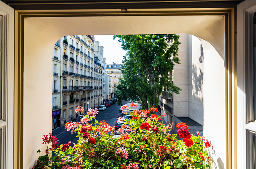View from a Parisian window with flowers