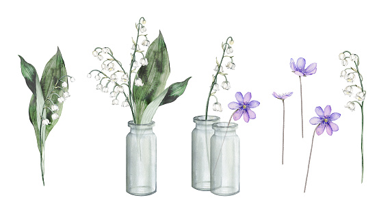 Watercolor floral elements with white tender spring lilies of the valley. Clipart of lilac forest flowers scilla in glass jar. Set of elements primroses for the design of printing holidays.