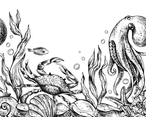 Underwater world clipart with sea animals whale, turtle, octopus, seahorse, starfish, shells, coral and algae. Graphic illustration hand drawn in black ink. Seamless border EPS vector