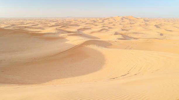 sand dunes of dubai united arab emirates, sand desert on a sunny day in dubai - dubai united arab emirates traditional culture camel stock-fotos und bilder