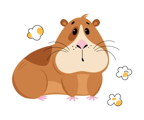 Vector illustration of Cute guinea pig eating popcorn. Funny brown pet rodent cartoon vector illustration