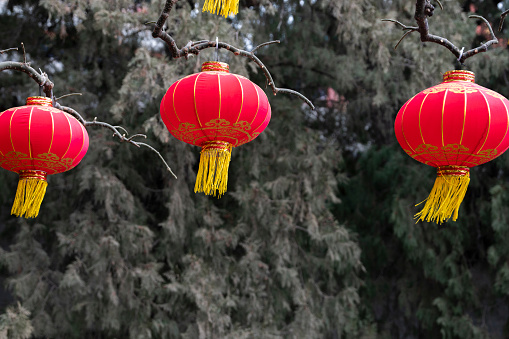 Chinese New Year decorative lanterns