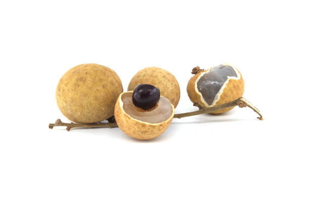 istock Longan fruits on branch isolated on white background 2078307070
