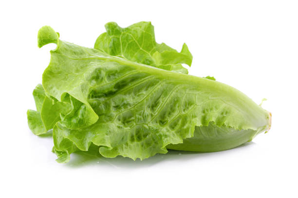 istock Lettuce Romain isolated on a transparent background 2078317456