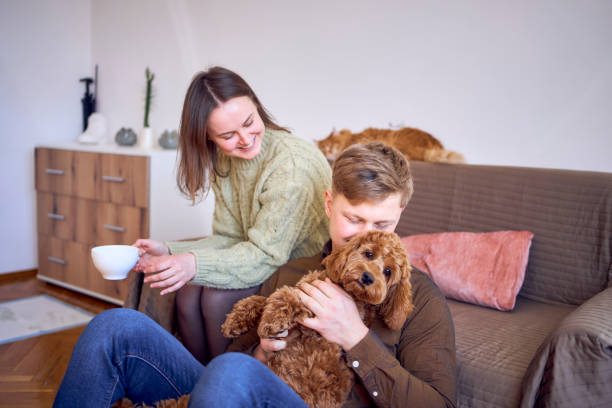 istock couple drinking from cups near sofa in living room, red cat sleeping on sofa, cockapoo running around 2078345855
