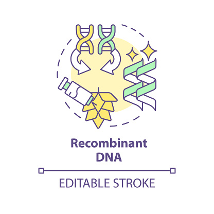 Recombinant DNA multi color concept icon. Genome sequencing, rna interference. Crop improvement. Round shape line illustration. Abstract idea. Graphic design. Easy to use in article, blog post