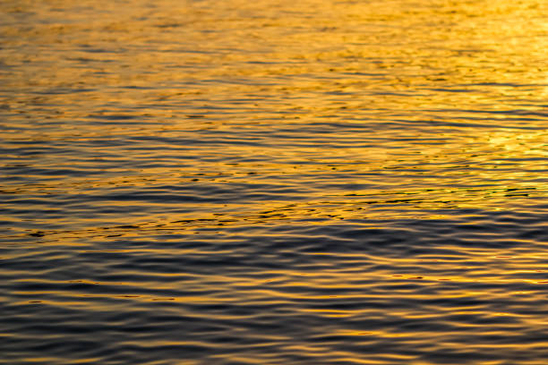 istock Golden sea waves in sunset glow as surface background. Summer holidays concept 2078360773