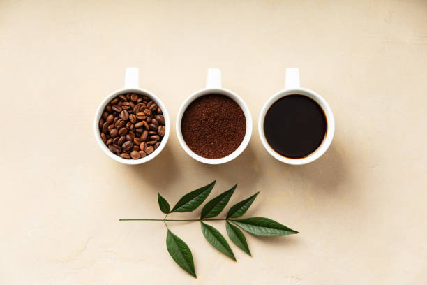 istock Coffee Beans, Ground, and Brew Stages Top View 2078369388