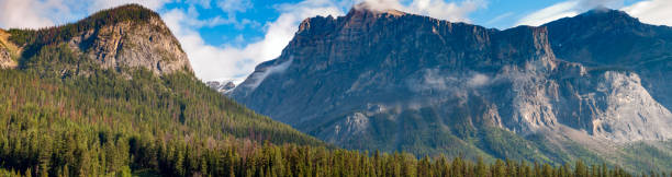 Trees, mountains and sky surrounding Emerald Lake.