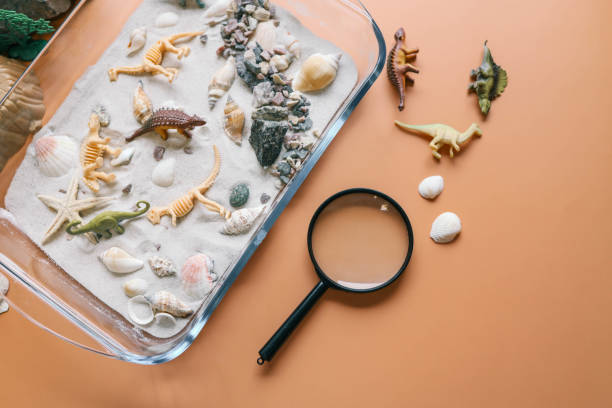 istock Sensory activity of a child, idea for an activity, top view 2078389318