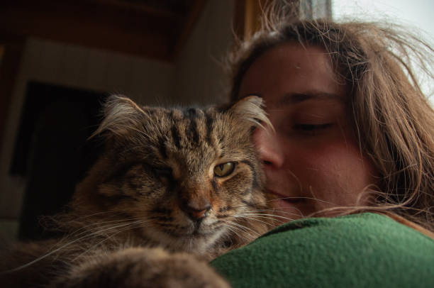 istock A woman holds a long haired Tabby Cat in her arms 2078433107