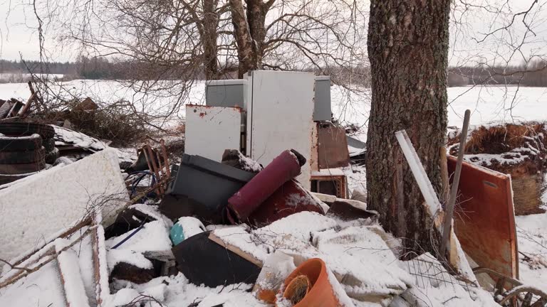 Pile of household garbage in countryside yard near bare tree, winter environment