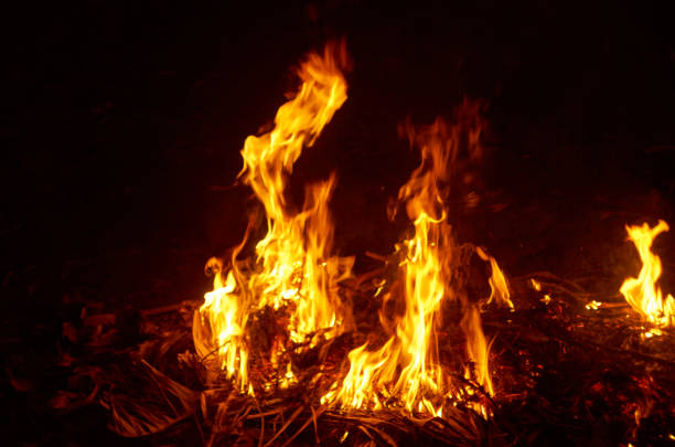 Texture of natural fire at night, on a black background.