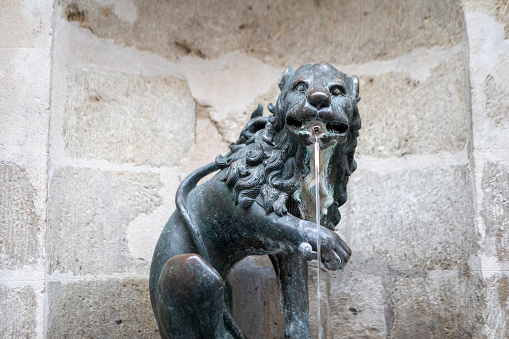 Fontaine les Lions behind the town hall in Brussels