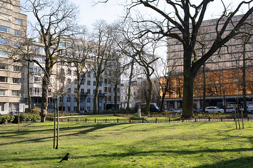 Square de Meeûs - a small city park in Brussels