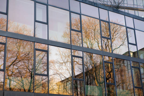 istock Trees and buildings reflected in a modern office building 2078495140