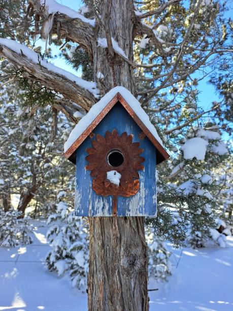 istock Vacant bird house in winter 2078496538