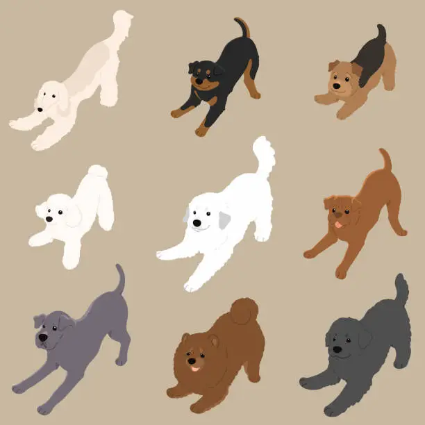 Vector illustration of Simple and cute playful dogs illustrations set flat colored