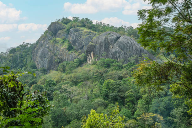 istock Sri Lanka landscapes nature background. 2078538577