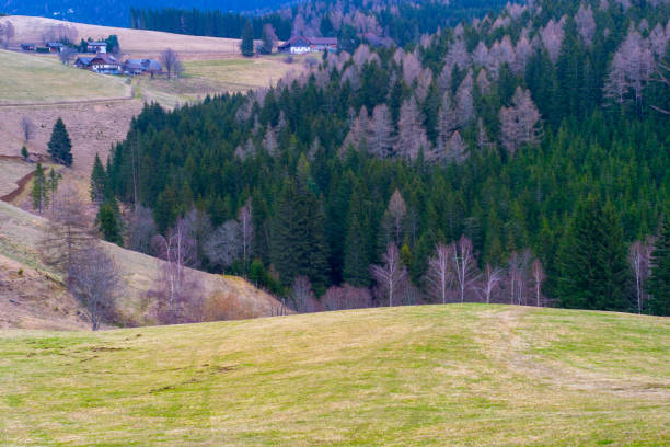 istock landscape in the mountains. Copy space nature. 2078540722