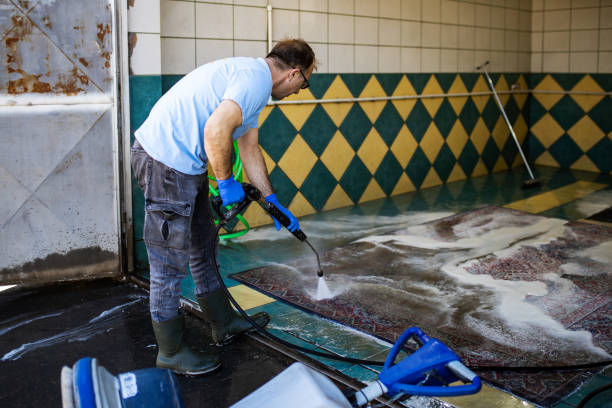 istock Private carpet chemical cleaning with brush. 2078542302