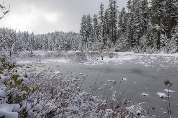 istock A snowy landscape with a frozen lake and trees 2078556053