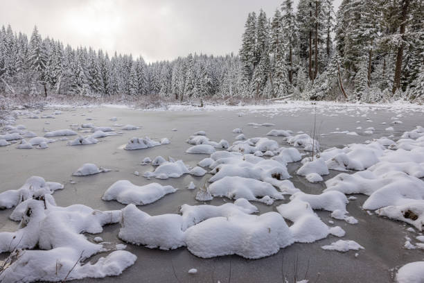 istock A snowy landscape with a lake covered in ice and snow 2078559771
