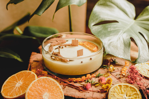 Large scented candle with oranges, with plants in the background.