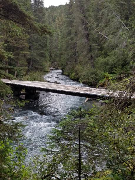 istock Wooden bridge over fast moving creek 2078562397
