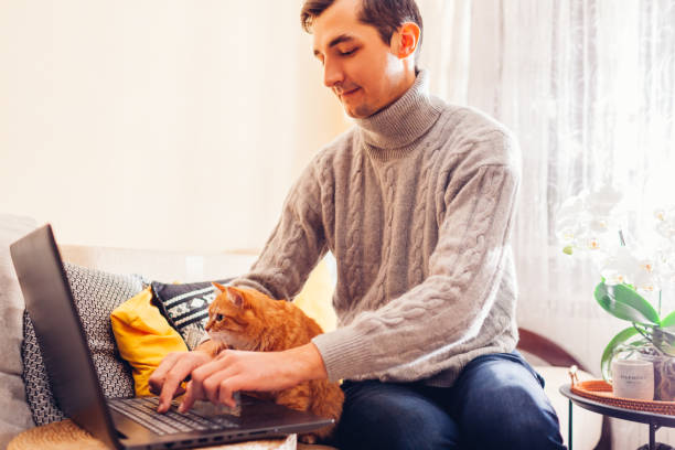 istock Working online from home with pet using computer. Man typing on laptop keyboard with ginger cat looking at screen. 2078589020