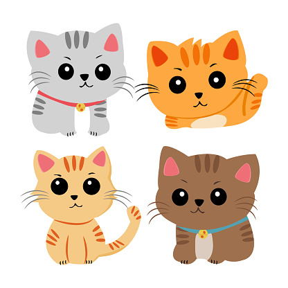 Cute four cat set on white