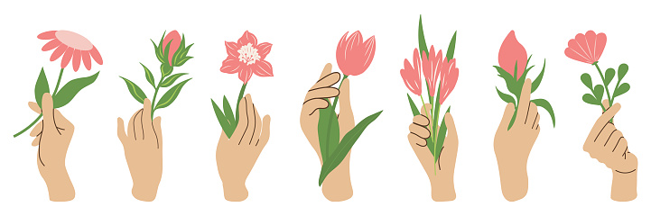 Bundle of hands holding flowers. Flower set. Stylish decorative design. Blooming flowers. A romantic gift for a loved one. All objects are isolated and grouped. Vector illustration