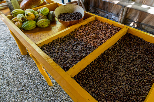 Roasted coffee beans, cocoa beans and seeds