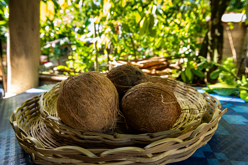 Coconuts in a basket