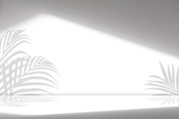 White Wall Studio Background.Empty Grey Room Background with Light,Coconut Palm Leaves Shadow on Table Top Surface Texture,Backdrop Mockup Display Podium Design for product presention of Cosmetic