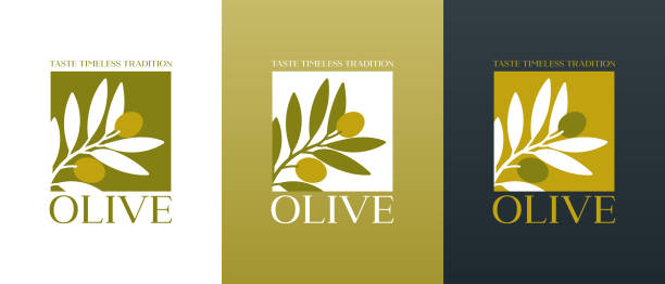 vector logo of olive branch with leaves. modern hand drawn vector olive oil icons. branding concept for olive oil company, organic, eco-friendly products, wellness, beauty, culinary services - pohon zaitun ilustrasi stok