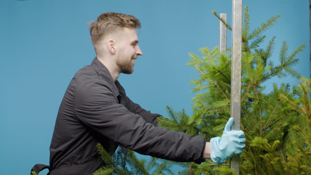 A guy is carrying a cart with a pine tree on a blue background