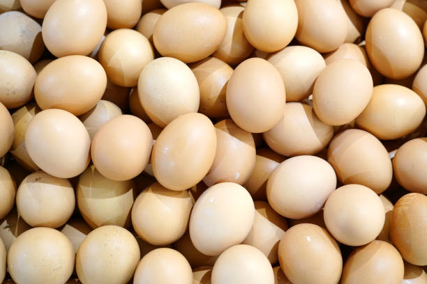 istock top view of chicken eggs as food background 2078694744