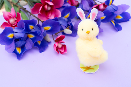 Easter scene with chiken in funny rabbit's ears, flowers in background