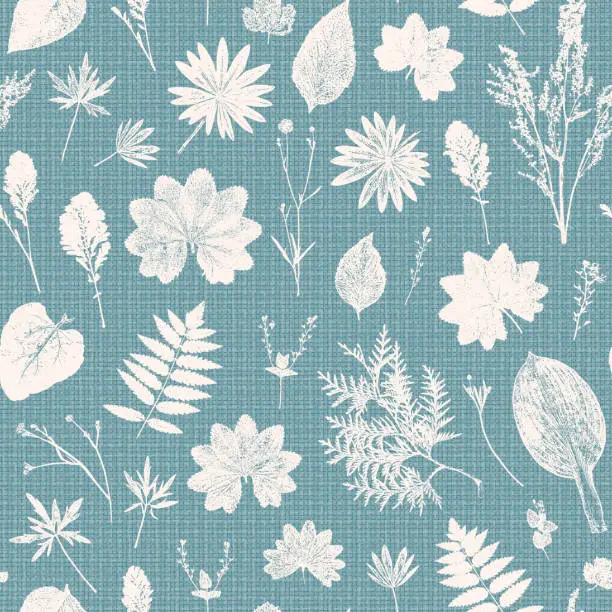 Vector illustration of Vector Natural Wildflowers and Herbs Print. Grass Leaf Silhouettes. Floral Background with Imitation Linen Burlap Texture. Stamp Leaves Seamless Pattern. Meadow Plants Vintage Blue Wallpaper