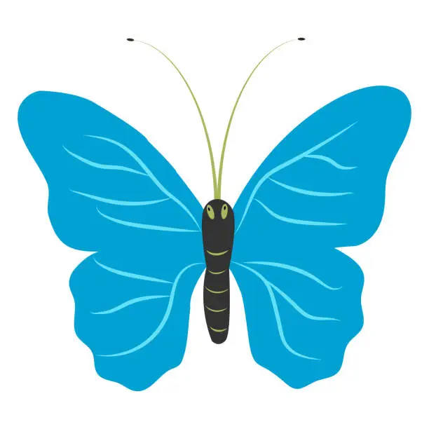 Vector illustration of A butterfly with outstretched bright blue wings
