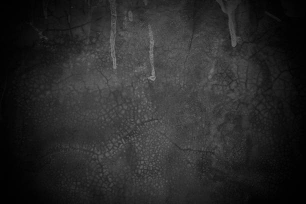 Old wall texture cement dark black gray  background abstract grey color design are light with white gradient background.