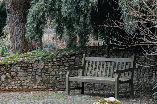 Wooden park bench.